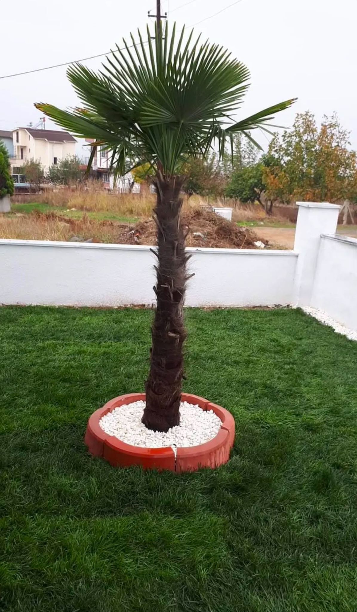 Natura Peyzaj